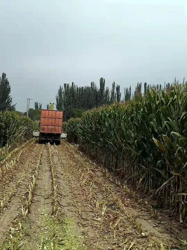 1664505719.jpg 640.jpg